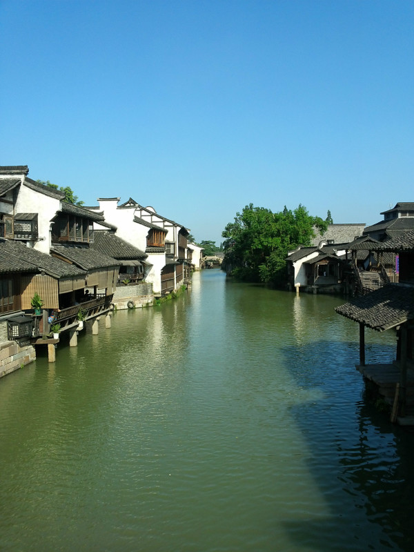 江南水乡魅力之旅，浙江风情探秘