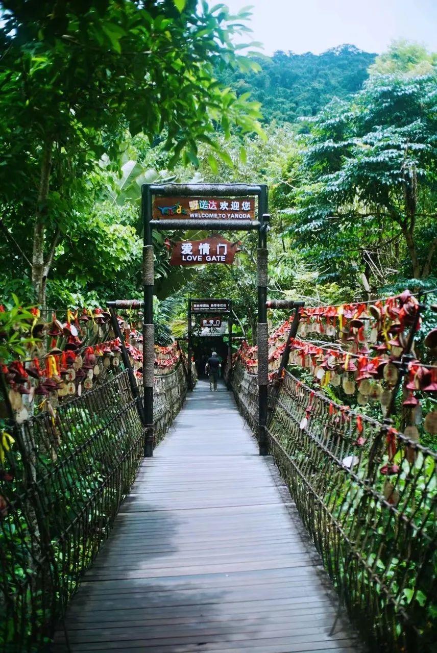 海南，梦想翅膀与自信源泉之地