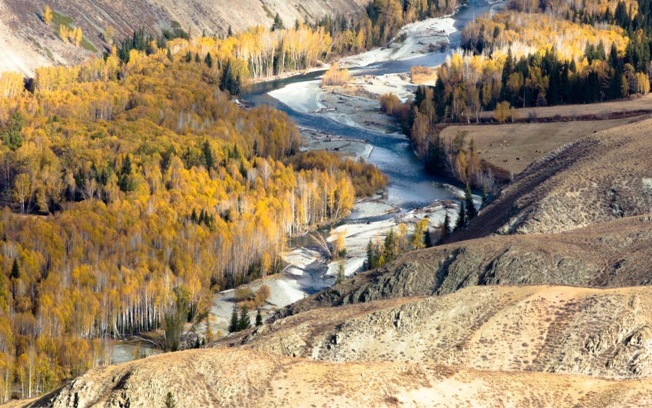 梦想绽放之地，新疆的呼唤