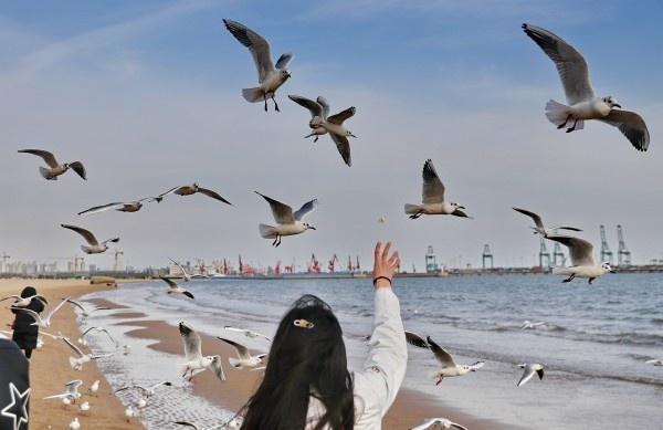 秦皇岛海滨,诗意邂逅,远方梦开始的地方